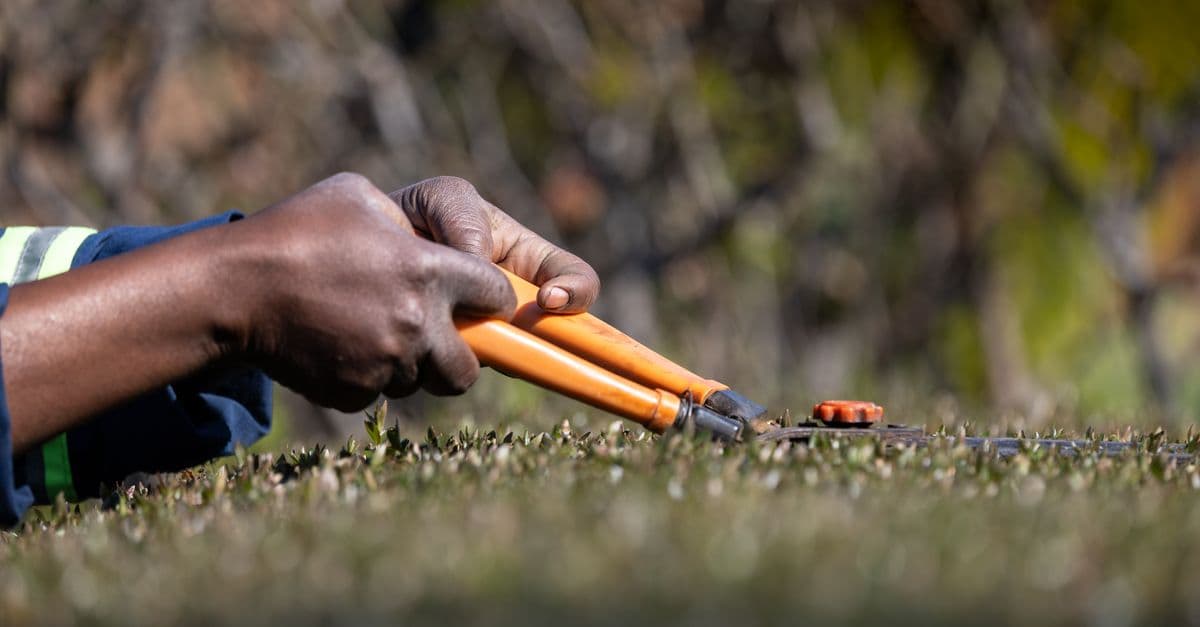 AI Adoption Is Splitting Landscaping Into Two Markets