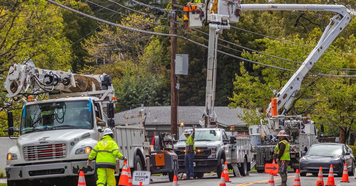 AI Is Touching Every Part of Tree Care Operations in 2026