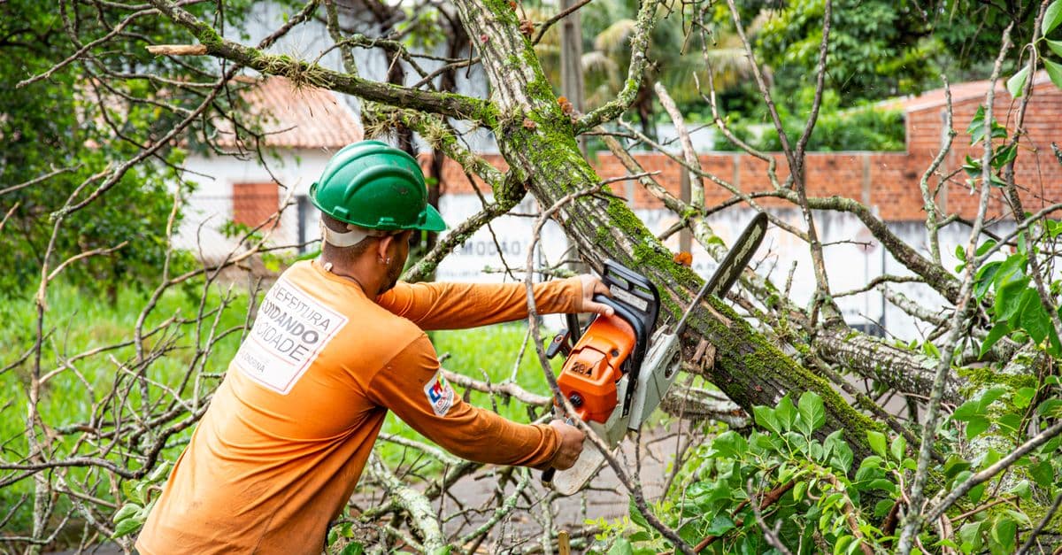 AI Automation Is Reshaping How Tree Service Companies Operate