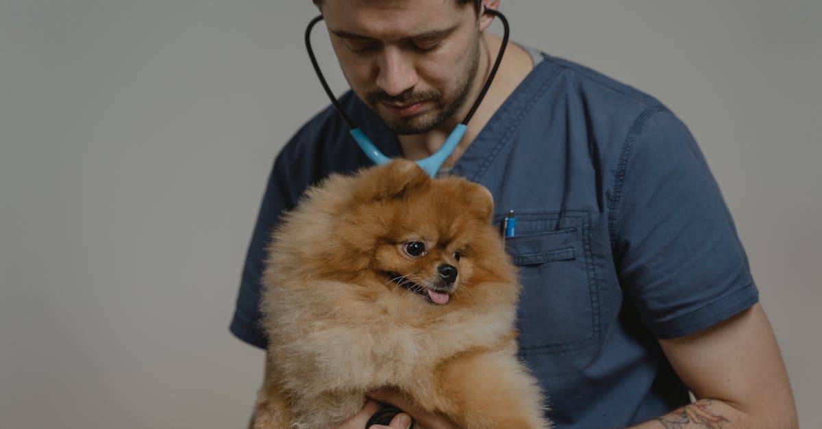 AI Is Cutting Vet Documentation Time. Here Is What Practices Are Actually Using