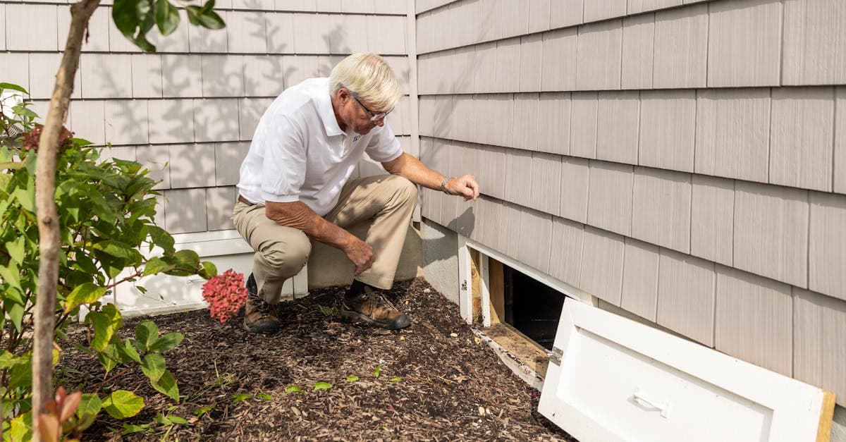 AI Is Reshaping How Homeowners Find Pest Control Companies