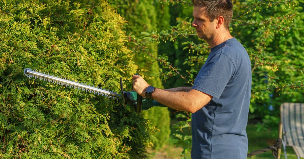 What Actually Makes Homeowners Choose One Landscaper Over Another