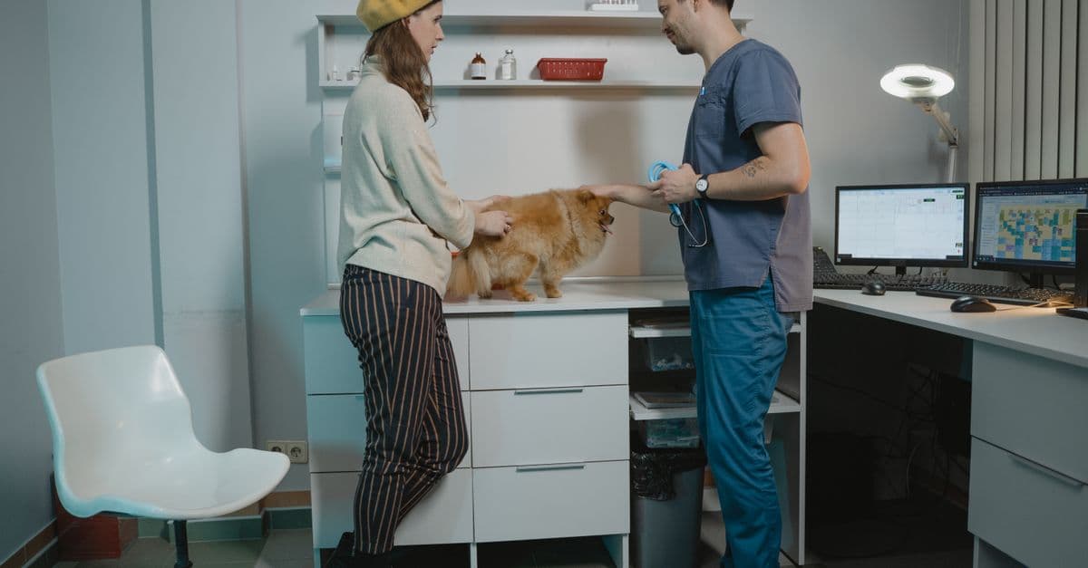 Mars Petcare Owns 27% of Veterinary AI Citations. What That Means for Your Practice.