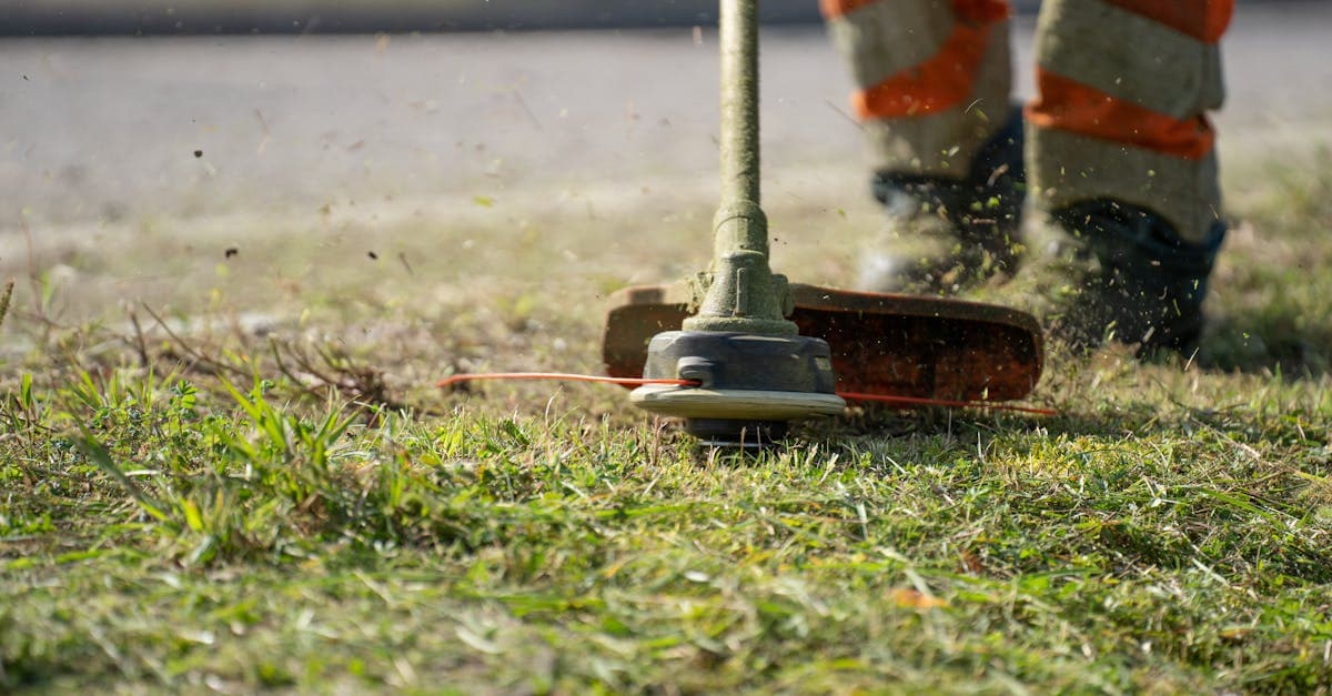 Digital Adoption Gap Is Splitting Landscape Operators in 2026