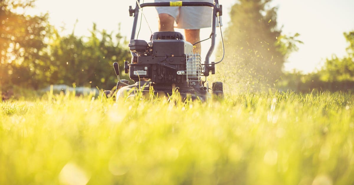 Fuel and Fertilizer Costs Are Squeezing Lawn Care Margins in 2026