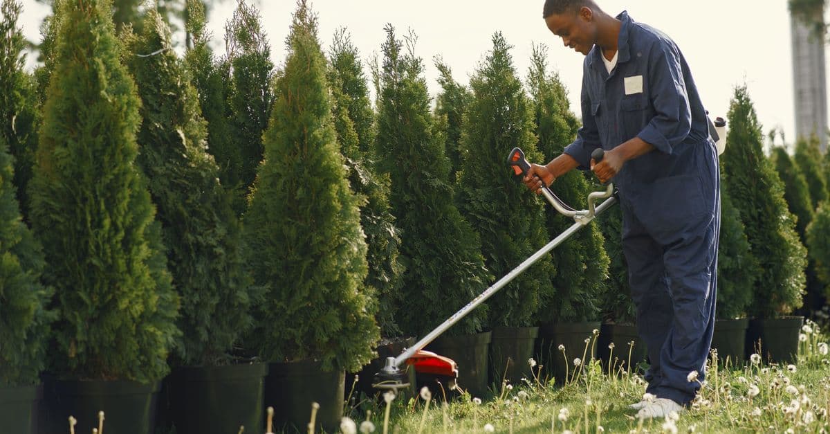 Google Business Profile Posts for Landscapers: The Low Bar You Can Clear