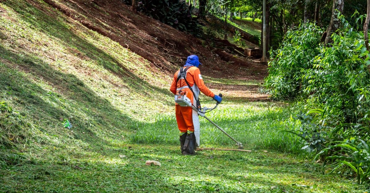 GBP Posts Drive 48% More Traffic for Landscapers Who Use Them