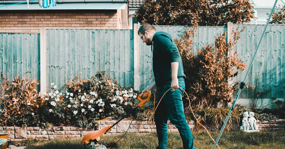 How Google Search AI Is Changing Which Lawn Care Companies Get Found