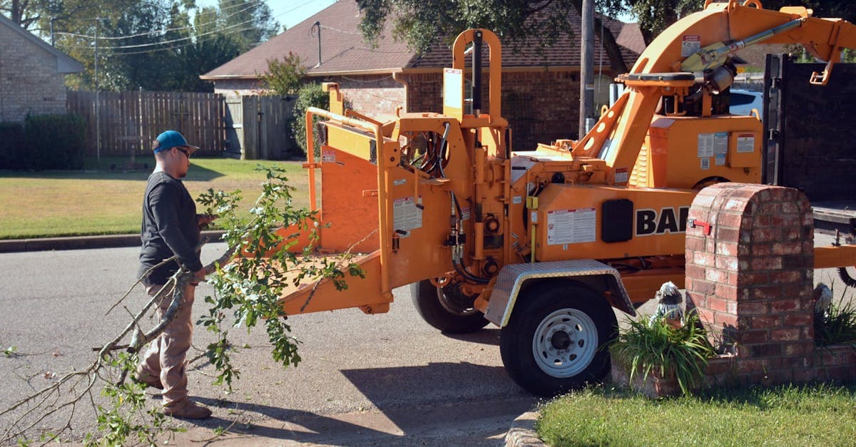Google Business Profile Deleted: What Tree Services Lose Overnight