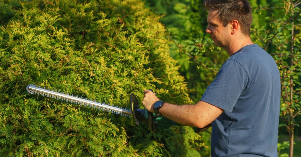 44% of Landscaping Buyers Start Online: What That Means for Your Business