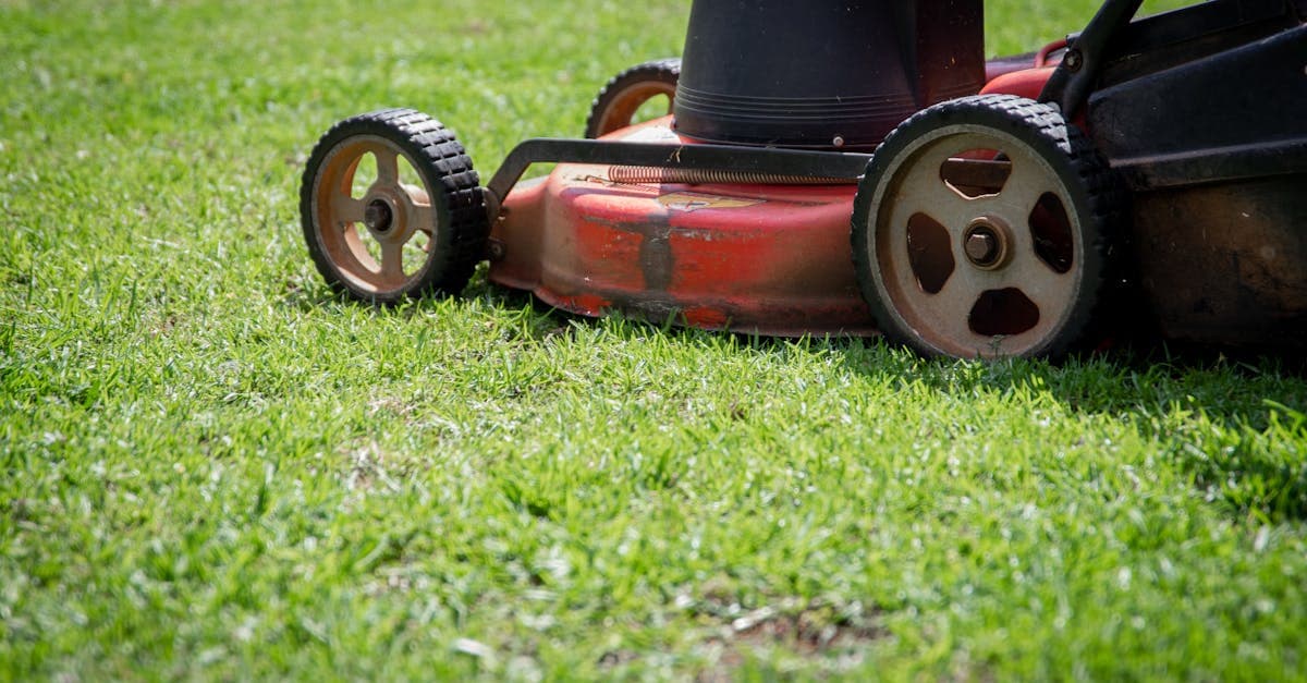 Landscaping Market Hits $741B But Cost Pressures Are Splitting the Field