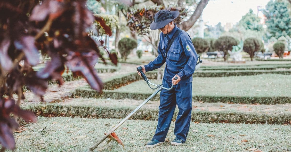 Automated Review Requests Generate 8-15x More Landscaping Reviews