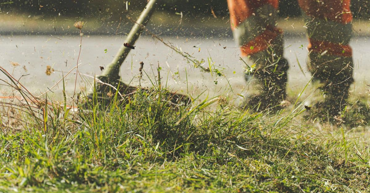Landscapers Who Respond to Reviews Earn 35% More Revenue