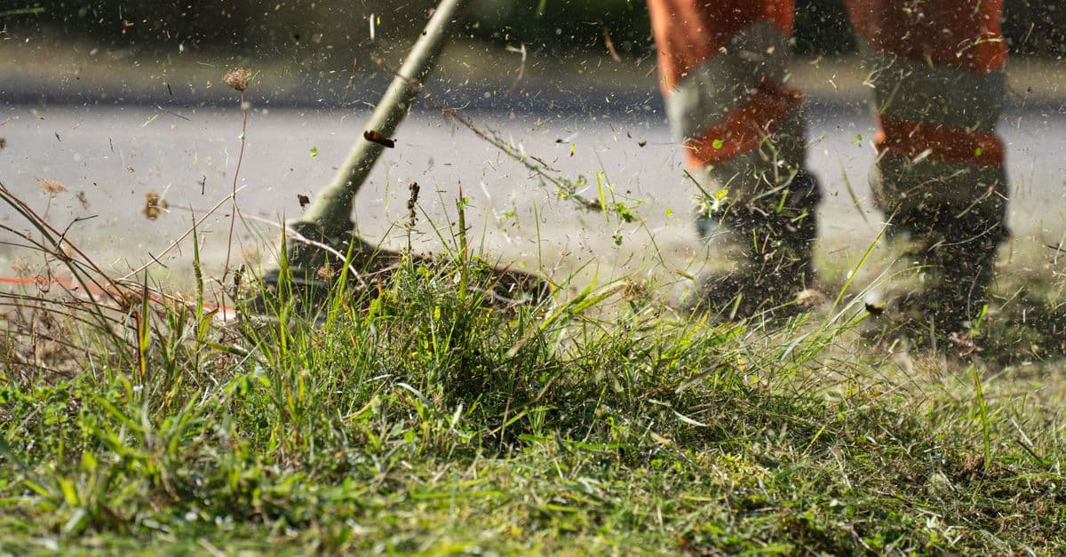 Ad Costs Are Up, Reviews Are Currency: Lawn Care Marketing in 2026