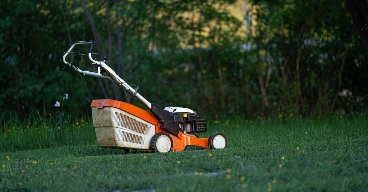 How Lawn Care Companies Should Handle Negative Google Reviews