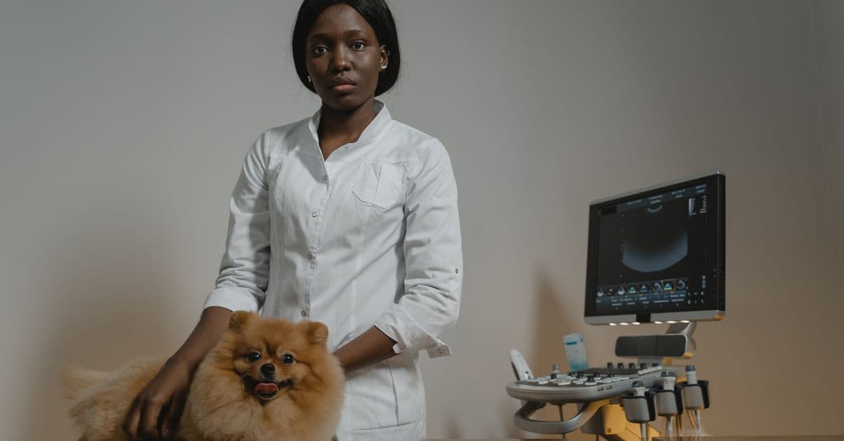 Mars Petcare Surges Ahead in Veterinary AI Search Visibility: What Independents Need to Know