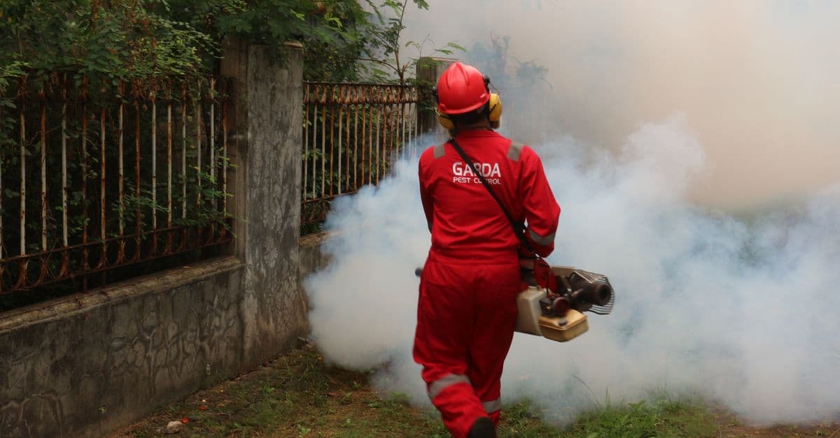 Pest Control Phone Calls Peak After 6 PM: What That Means for Your Business