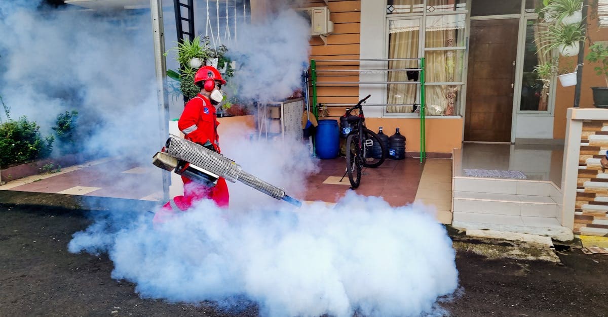 Green Pest Claims Confuse Customers: What PMPs Need to Know