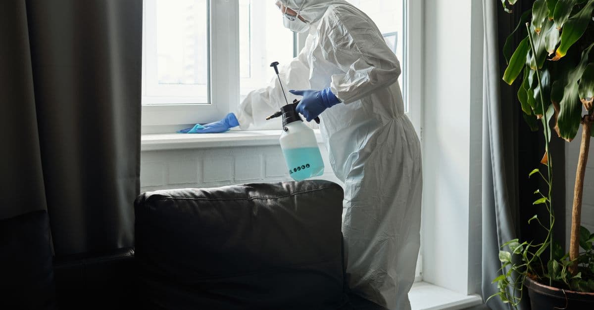 Pest Control Market Hits $32.8B: What the Growth Means for Local Operators