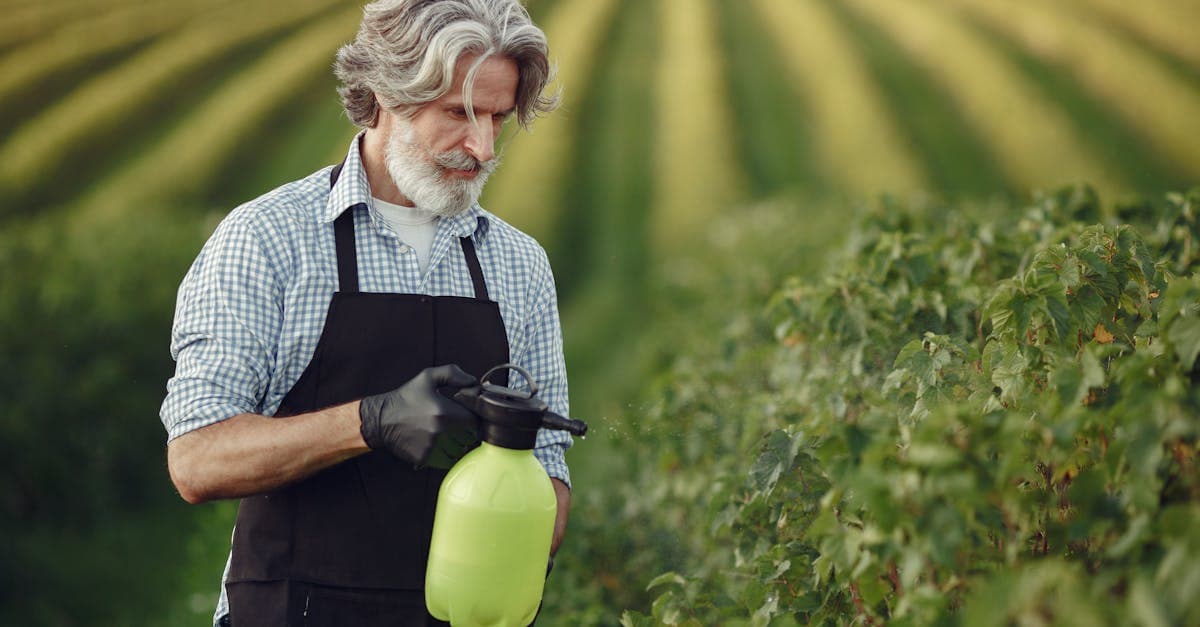 Pest Control Phone Calls: What the Data Says About Missed Revenue