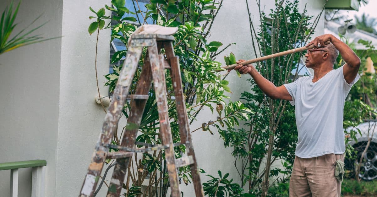 Residential Tree Services Market Headed Toward $6.5 Billion