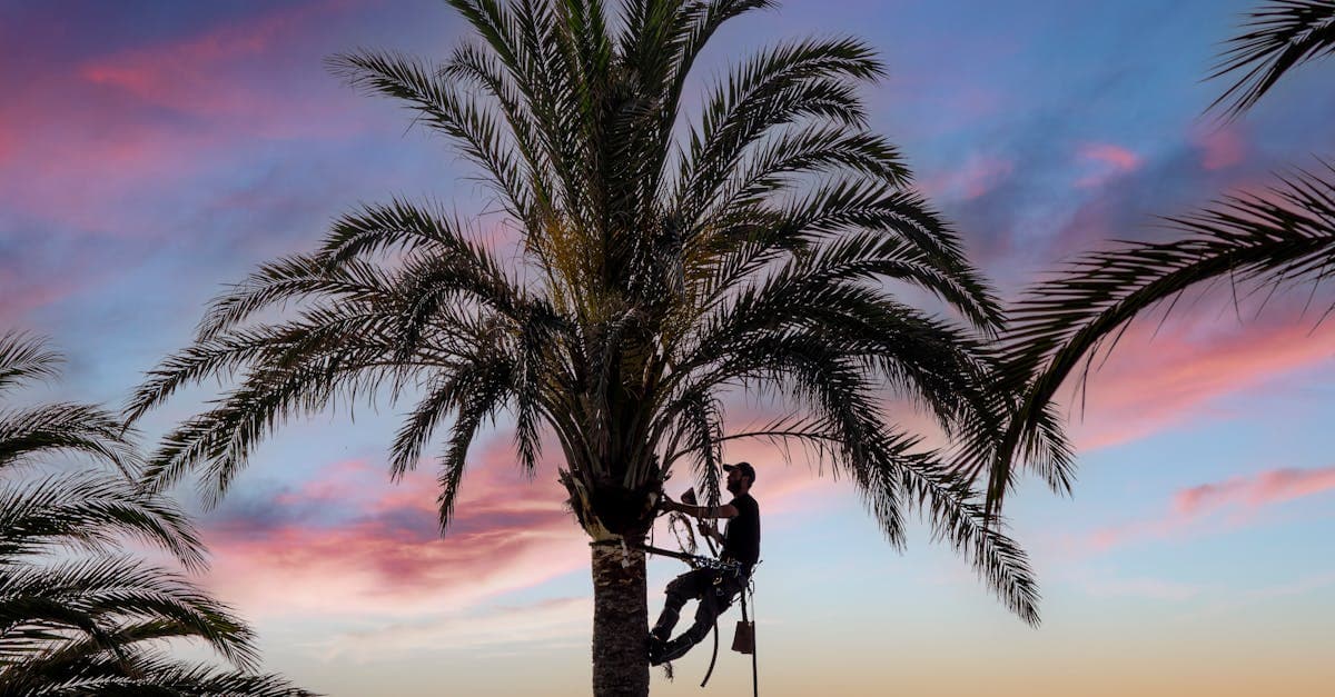 2026 Tree Care Industry Outlook: What Operators Need to Know