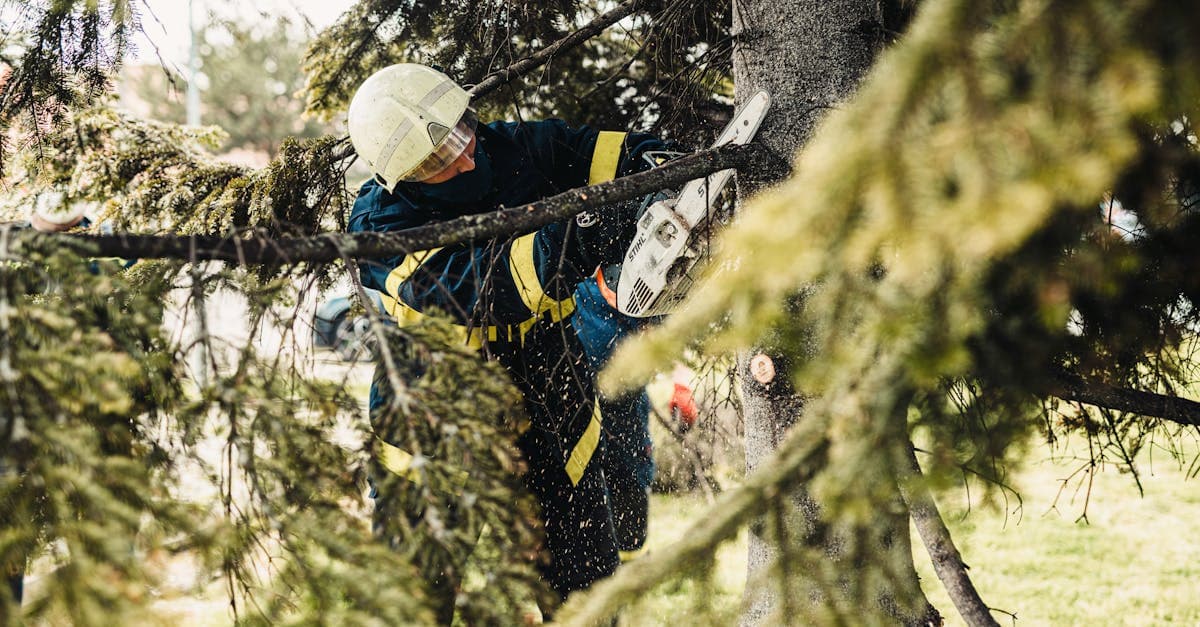 Tree Care Industry Outlook: Labor, Risk, and Technology in 2026