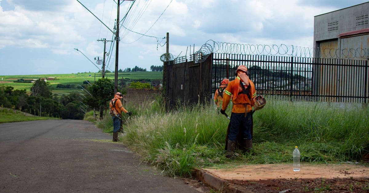 A Deleted Google Profile Shut Down a Tree Service Business