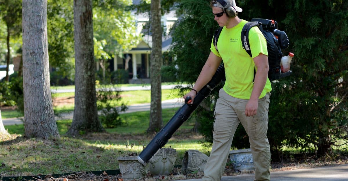 Tree Service Local SEO: Why Citations and Photos Decide Who Gets Called