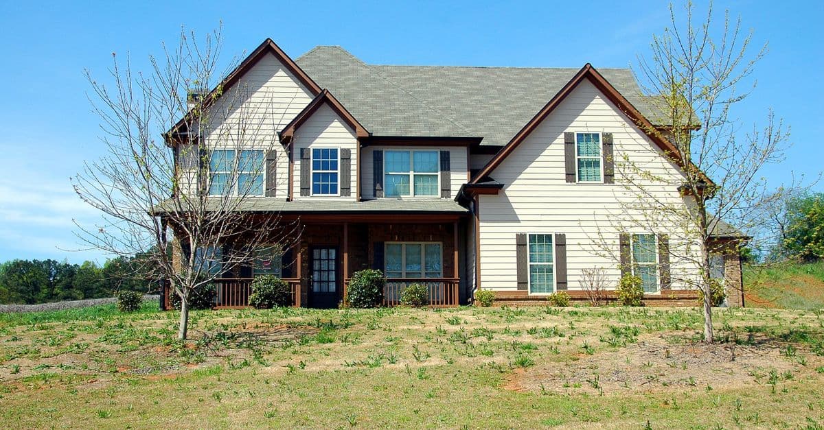 Tree Service Local SEO: What Actually Drives Calls in 2026