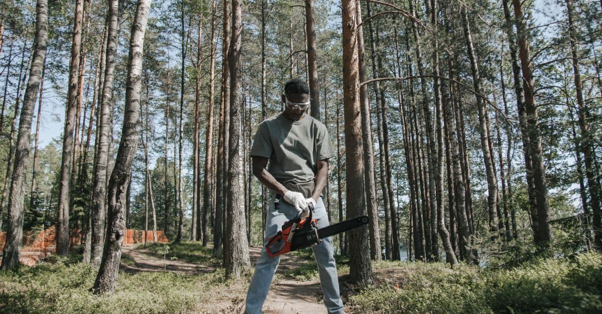 Tree Service Market Hits $1.7B: What the Growth Numbers Mean for Local Operators