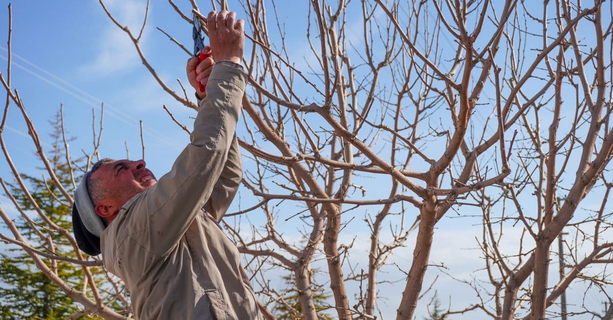 67% of Customers Ignore Your Star Rating: What Tree Services Must Know