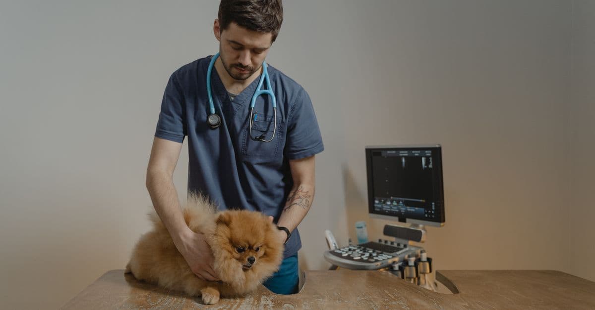 Clients Are Declining Diagnostics: What the Visit Decline Means for Practice Revenue