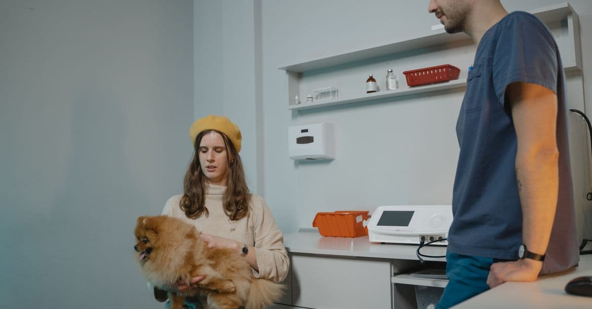 Veterinary Visits Drop as Price Sensitivity Hits Record Highs: What Practices Need to Know